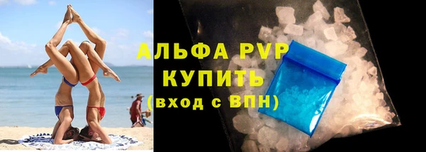 Альфа ПВП Верея