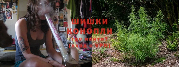 ГАЛЛЮЦИНОГЕННЫЕ ГРИБЫ Верхний Тагил