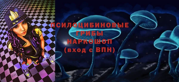 Альфа ПВП Верея