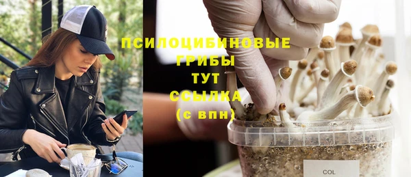 ГАЛЛЮЦИНОГЕННЫЕ ГРИБЫ Верхний Тагил